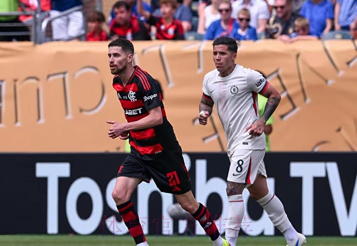 世界杯比利时凯恩焦点对决全面分析